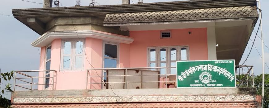 मिसिएको धानको बीउ : किसान ठगिँदा सहकारी कानुनी कारबाहीको दायरामा