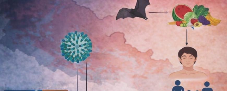 महामारी आउनुअघि नै रोकौँ: निपाह भाइरसको घण्टी महामारी आउनुअघि नै रोकौँ: निपाह भाइरसको घण्टी