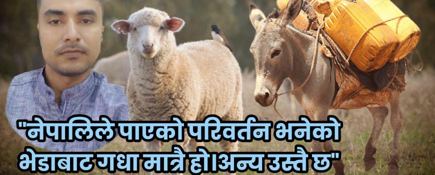 नेपालीहरु गणेसमानको प्रजातान्त्रिक आन्दोलन बखत भेडा थिए। आज जेन्जी आन्दोलनमा आइपुग्दा गधा भयौं। परिवर्तन यहि हो।